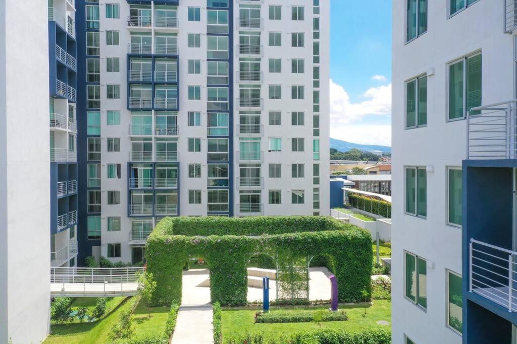 New Luxury Apartment 12Th Floor Σαν Χοσέ Εξωτερικό φωτογραφία